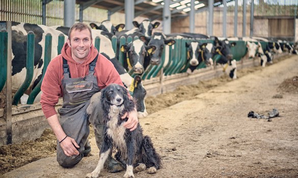 a person kneeling next to a dog
